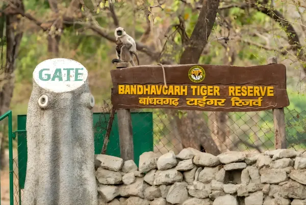 Bandhavgarh & Kanha Tiger Safari Tour 1