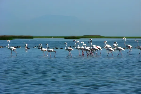 Odisha Wildlife Expedition 4