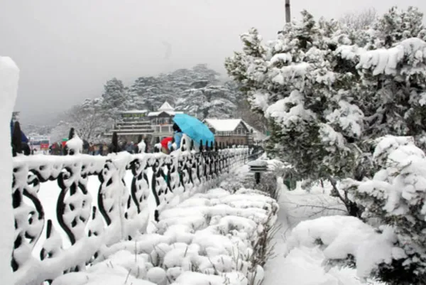 Shimla Manali Getaway 2
