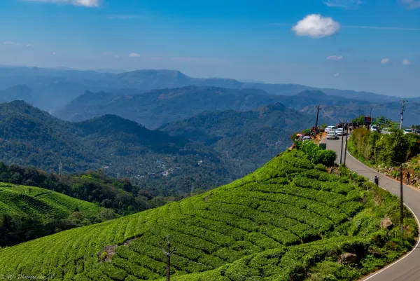 Kerala Complete Escape: Munnar, Thekkady & Alleppey 1