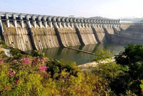 Gujarat Wildlife & Statue of Unity Tour 7