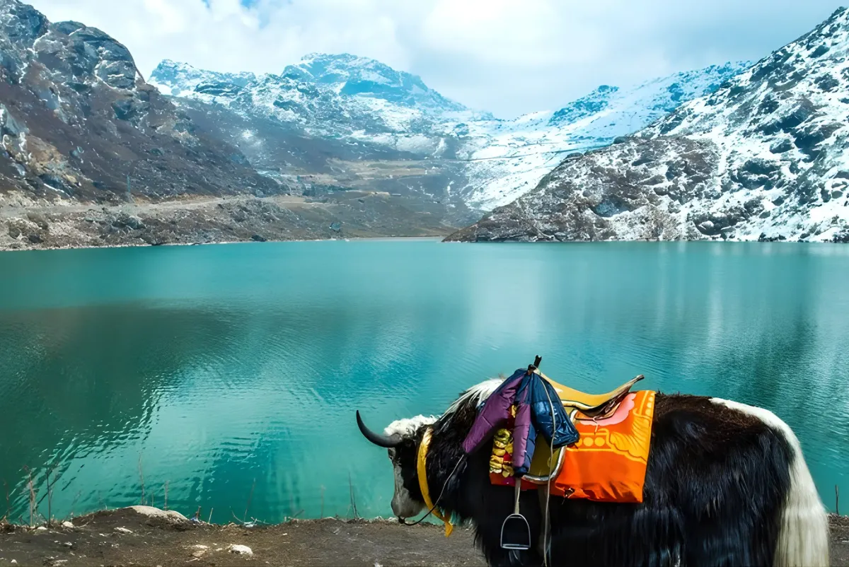 Gangtok Scenic Escape — sikkim travel package