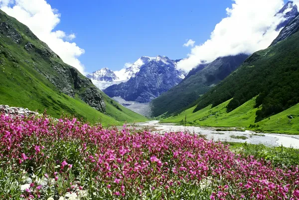 Auli Adventure Retreat 2