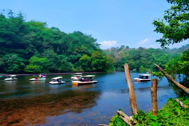 Wayanad Nature Escape