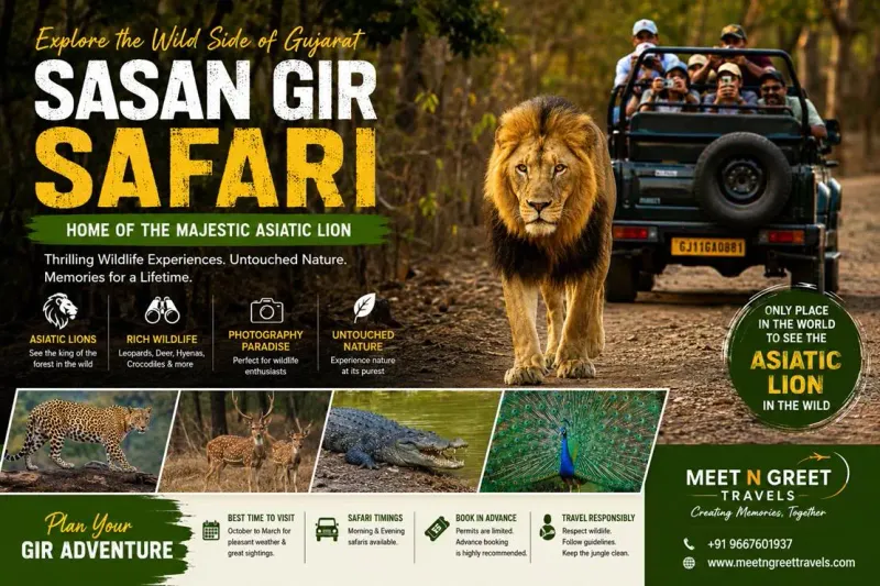 Sasan Gir Safari Guide 2026: Experience Asiatic Lions in the Wild