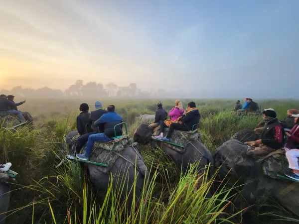Kaziranga Safari with Meghalaya Tour Package 8
